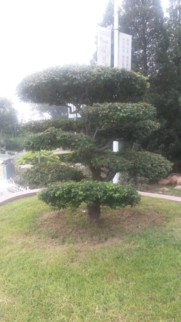Αρχαία Κίνα και Qi Gong